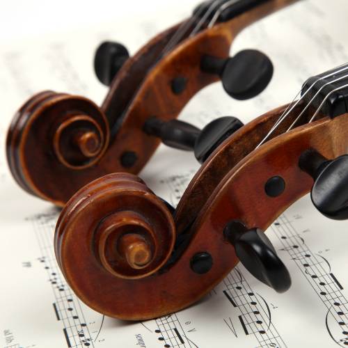Introductory Violin Lesson (One to One)